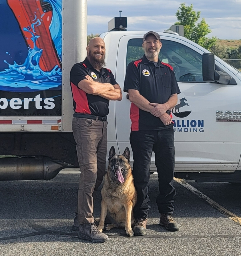 services Why Stallion Resized_20250511_084414(1)_7167439180180